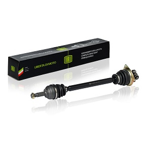 ������ ���� RENAULT SANDERO I/LOGAN I