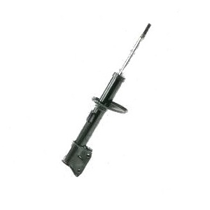 ����������� �������� RENAULT Duster