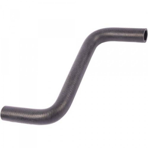 �������� 19��. 