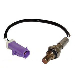 ������-���� FORD