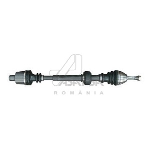 ������ ���� RENAULT
