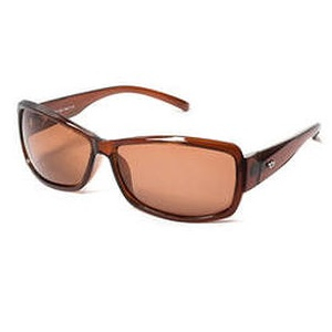 ���� ��������������� Cafa France