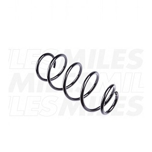 ������� �������� VW POLO