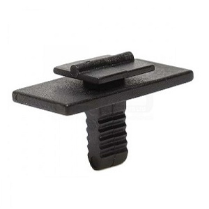 ������ FORD