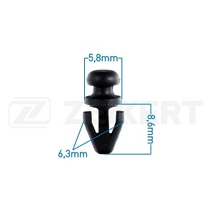 ������ FORD