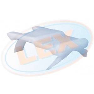 ������ HYUNDAI