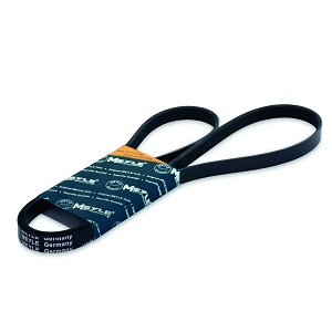 ������ ������������ 6/1873 