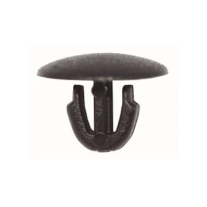 ���� ALFA ROMEO/FIAT