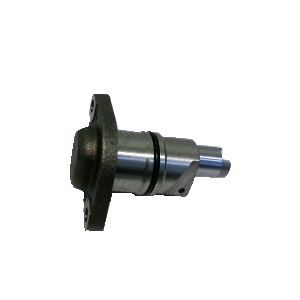 ���������� ���� NISSAN 