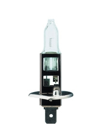 ����� H1 12V 55W P14,5s LONG LIFE