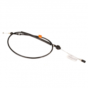 ���� ���� 1118