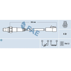 ������-���� FORD