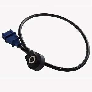 ������ ��������� CHERY