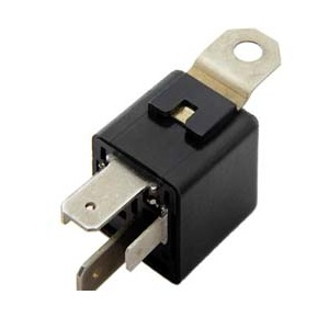 ���� �������� 