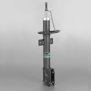 ����������� ����. RENAULT Duster 