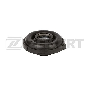 ��������� ���������� ���� NISSAN