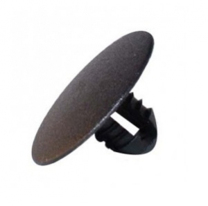 ������ FORD