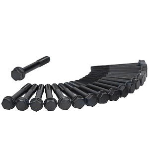 ���� FORD ��� �-� 