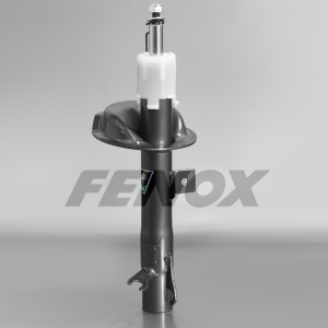 ����������� ����. FORD