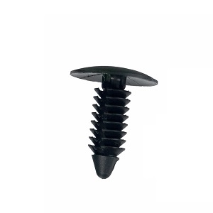 ������ FORD