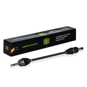 ������ ���� LADA LARGUS