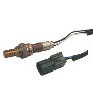 ������-����