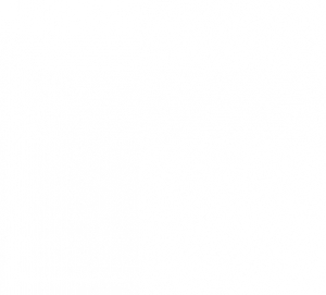 ������� �/�������� VW GOLF2 84-91