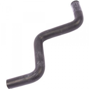 �������� 19��. 