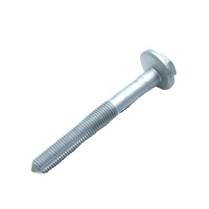 ���� M12x100