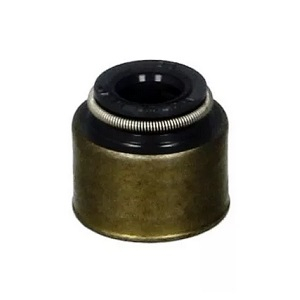 �������� �/� TOYOTA