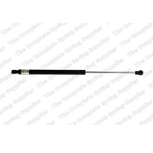 ����������� ��������� RENAULT MEGANE SCENIC REAR WINDOW 1/97-03 460��