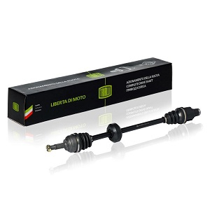 ������ ���� RENAULT