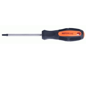 �������� TORX �27�100��