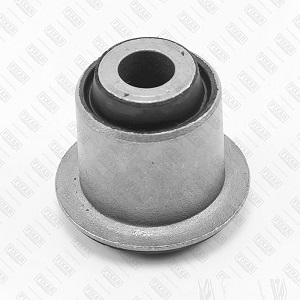   RENAULT DUSTER 10- .