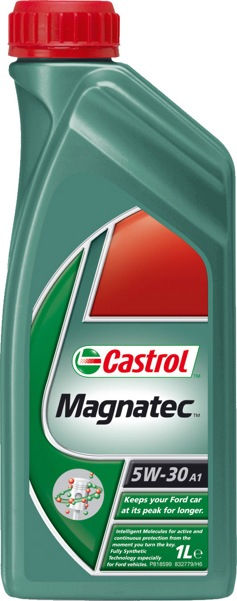 Castrol Magnatec SAE 5W-30 A1 (1.)