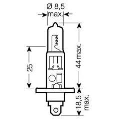  H1 12V 100W