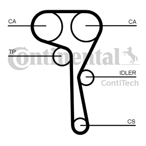  + AUDI/VW 163x20 CONTITECH