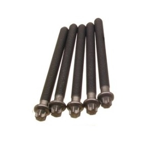  M10x1.5x110  E32/34/39/X5 E53 M60/M62/M67 (8)  -