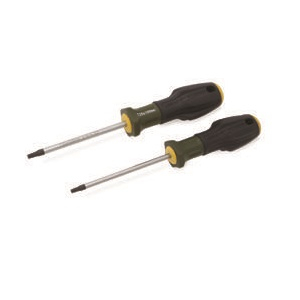    T25100  TORX